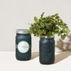 Home And Garden Elyse Breanne | Garden Jar-Cilantro