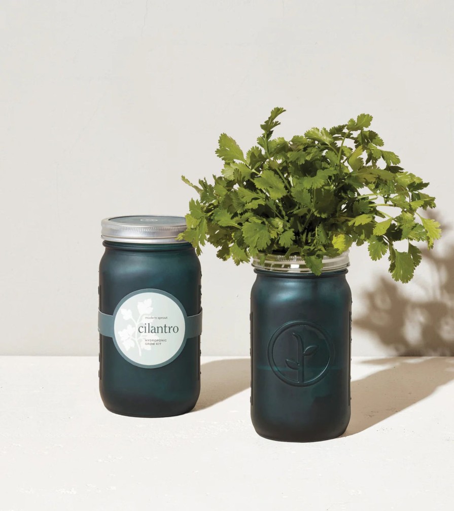 Home And Garden Elyse Breanne | Garden Jar-Cilantro