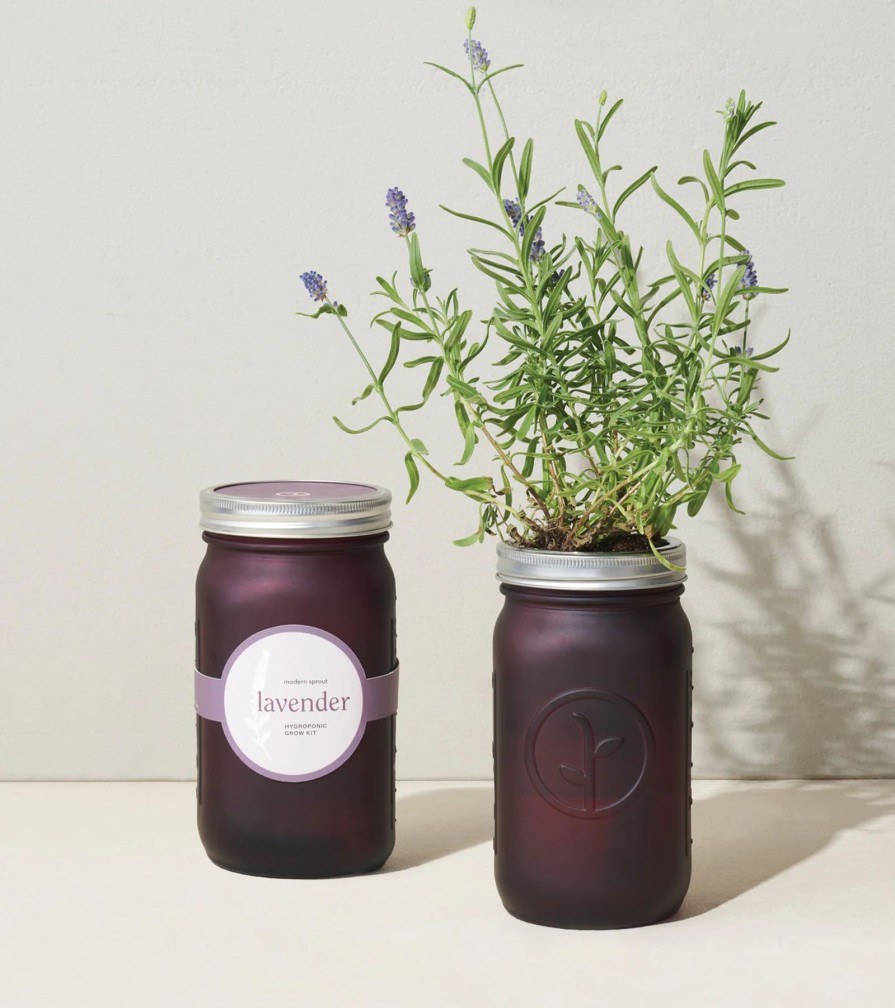 Home And Garden Elyse Breanne | Garden Jar-Lavender