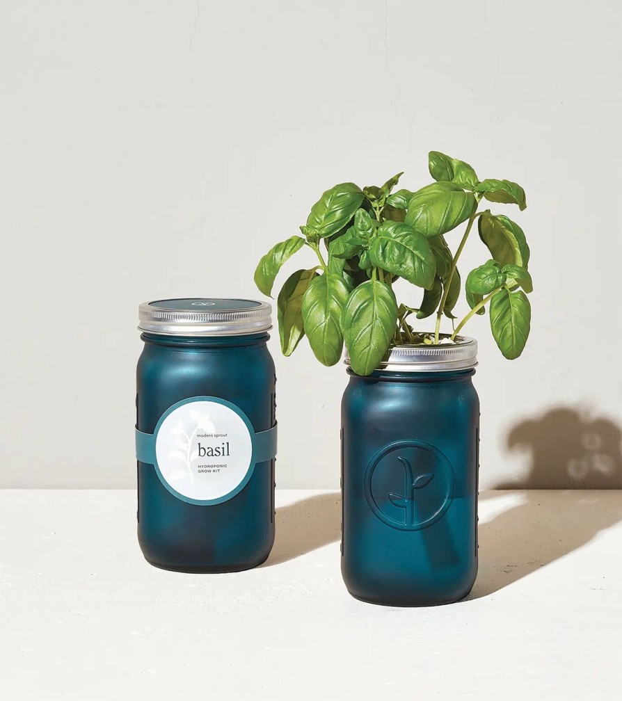 Home And Garden Elyse Breanne | Garden Jar-Basil