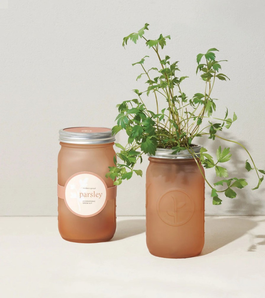 Home And Garden Elyse Breanne | Garden Jar-Parsley