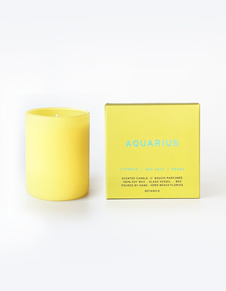 Bath And Beauty Elyse Breanne | Aquarius Zodiac Candle