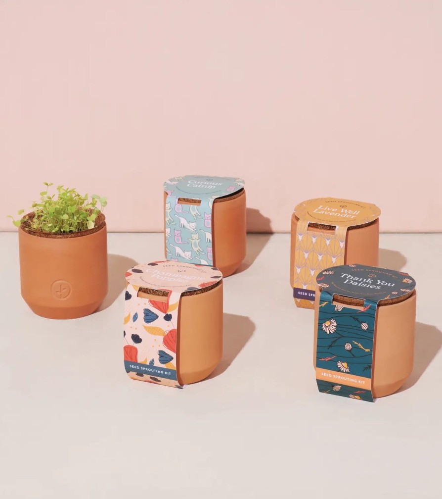 Home And Garden Elyse Breanne | Tiny Terracotta-Thank You Daisies