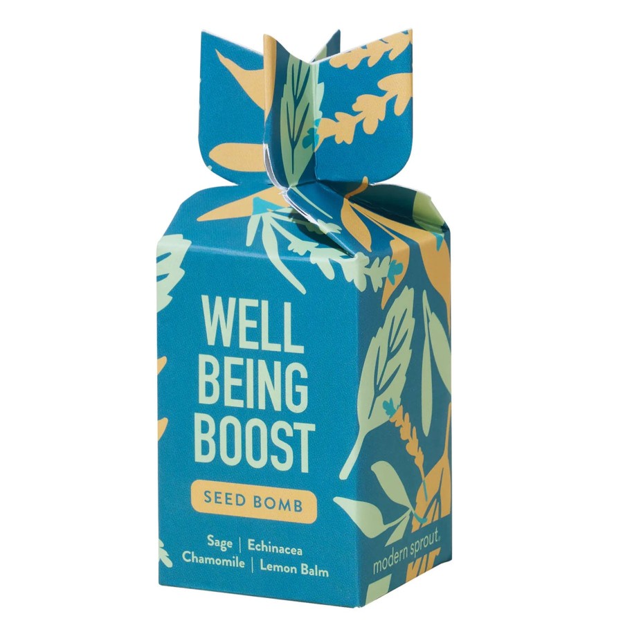 Home And Garden Elyse Breanne | Well Being Boost Seed Bomb