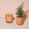 Home And Garden Elyse Breanne | Tiny Terracotta-Live Well Lavender