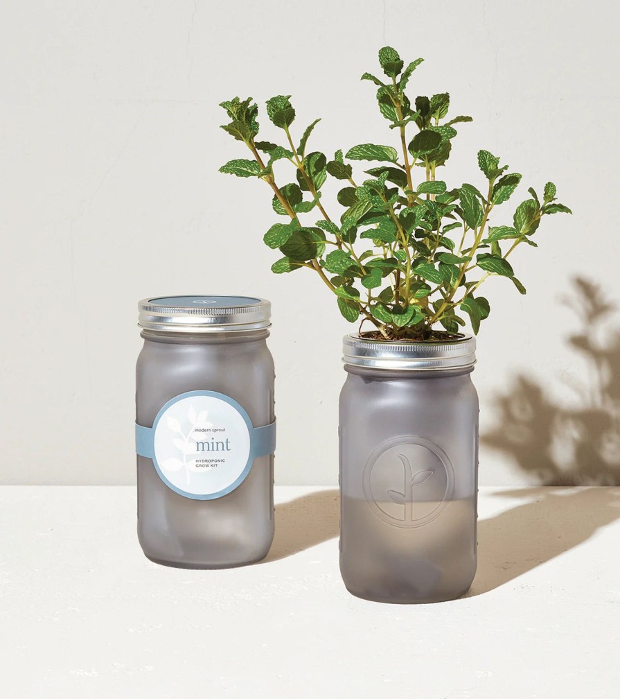 Home And Garden Elyse Breanne | Garden Jar-Mint