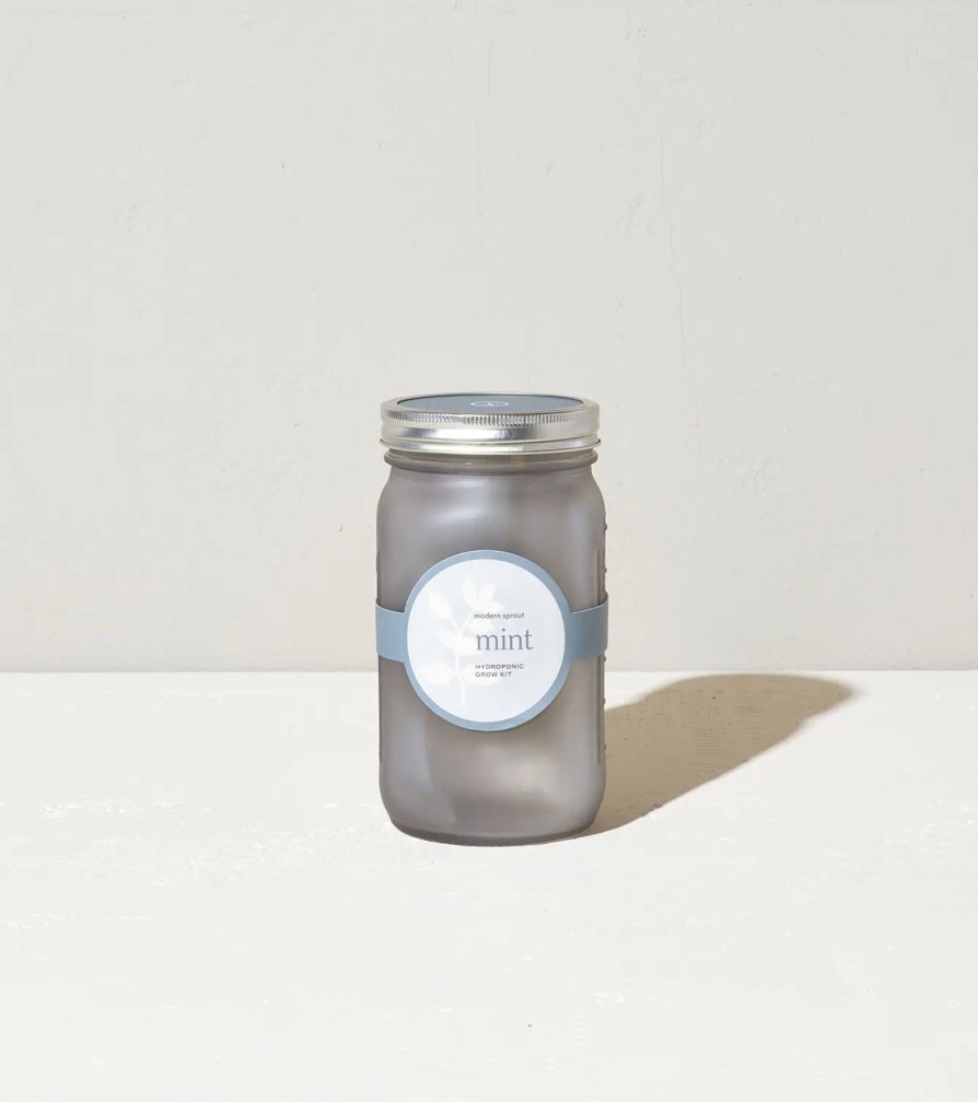 Home And Garden Elyse Breanne | Garden Jar-Mint