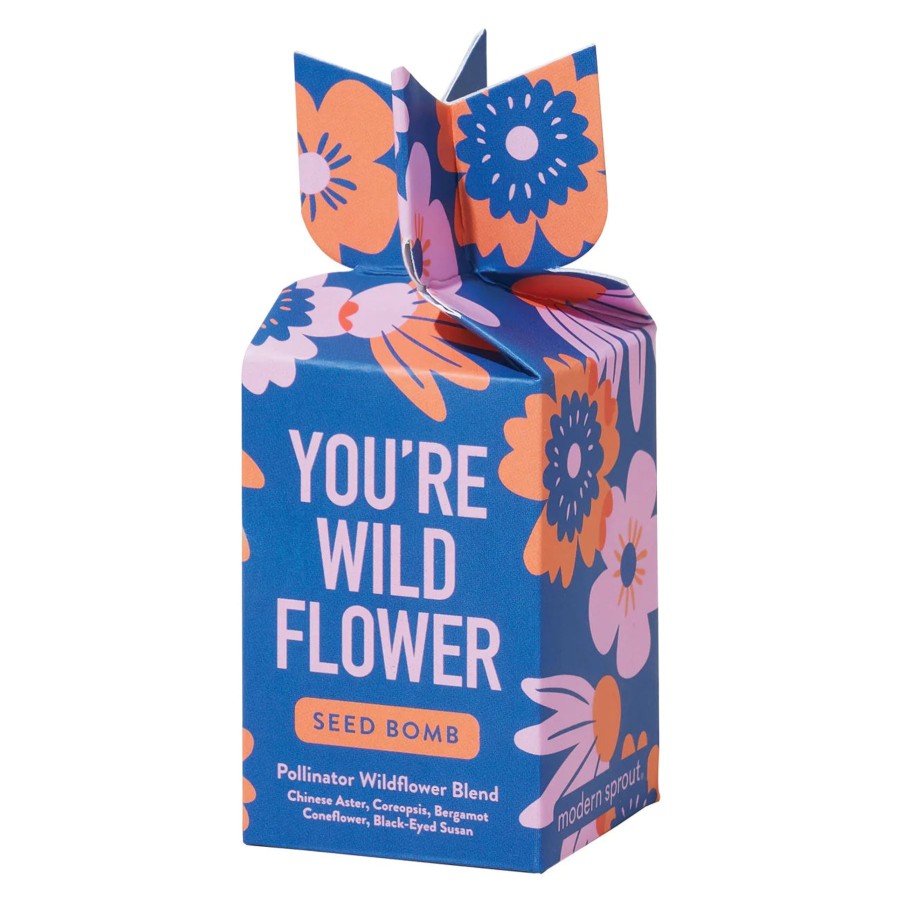 Home And Garden Elyse Breanne | You'Re Wild Flower Seed Bomb