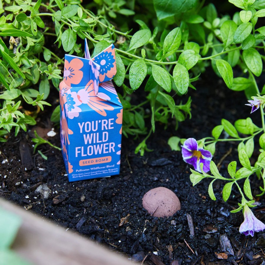 Home And Garden Elyse Breanne | You'Re Wild Flower Seed Bomb