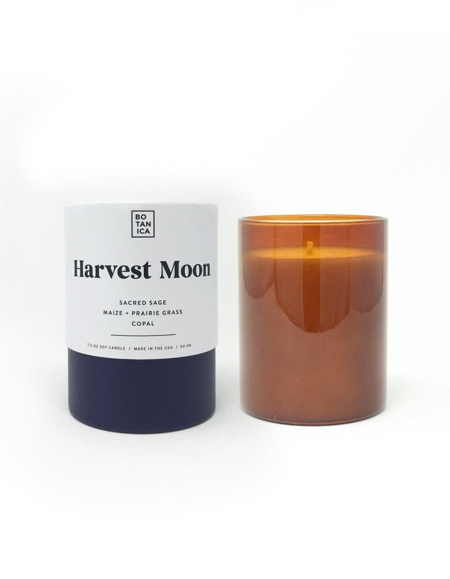 Bath And Beauty Elyse Breanne | Harvest Moon Medium Candle